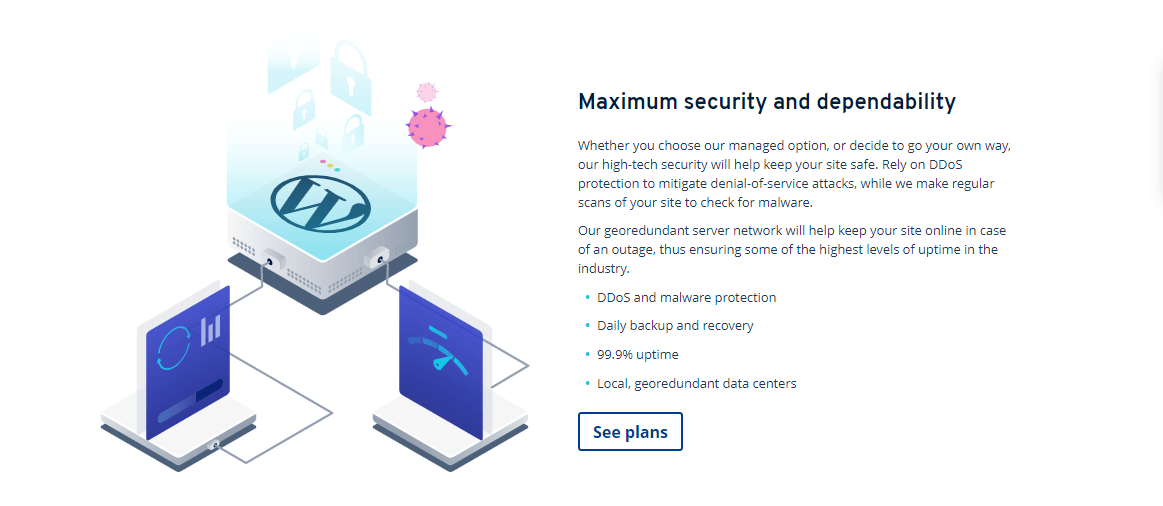 Ionos Security Features